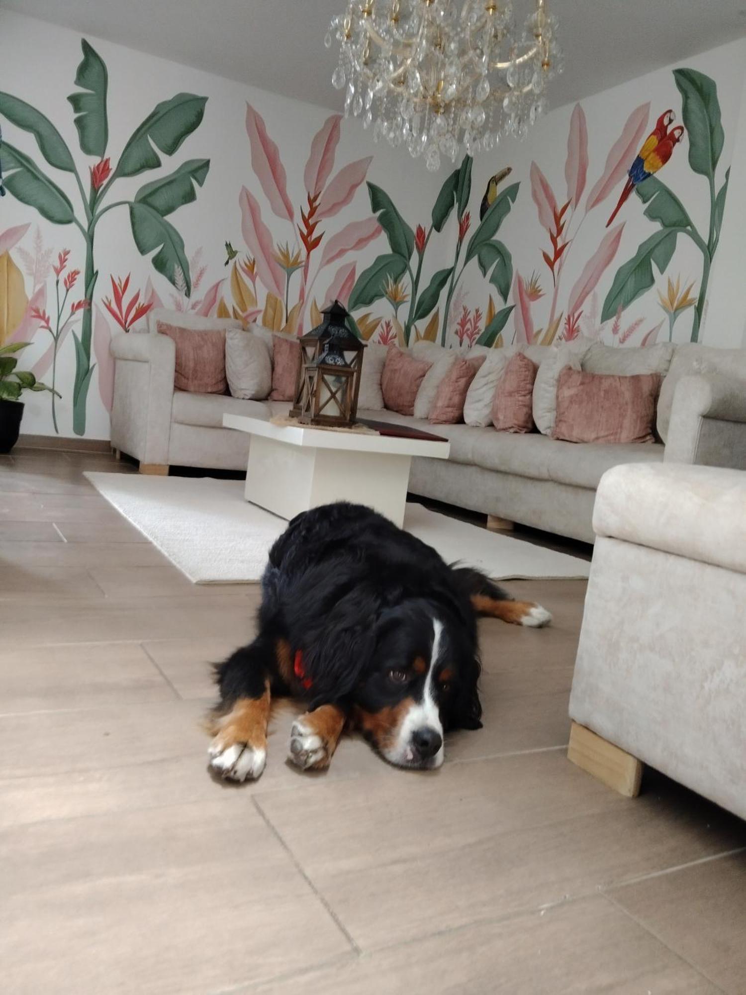 Casa Colonial Filandia公寓 外观 照片